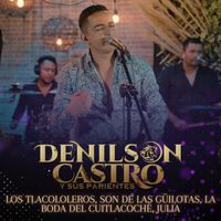 Denilson Castro y Sus Parientes - Los Tlacololeros / Son De Las Güilotas / La Boda Del Cuitlacoche / Julia (En Vivo)