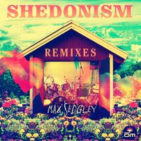 Max Sedgley - Shedonism (Remixes)