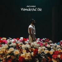 Adam - Wonderful life