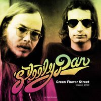 Steely Dan - Green Flower Street (Live)