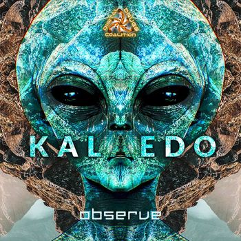 Kalaedo - Observe