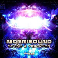 Morrisound - Sound & Vibration