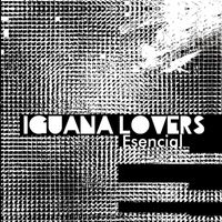 Iguana Lovers - Esencial
