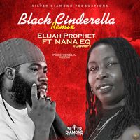 Elijah Prophet - Black Cinderella (Remix) (Cover)