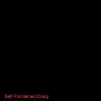 BEASTMMMM66a - Self Proclaimed Crazy