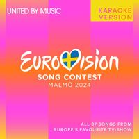 Various Artists - Eurovision Song Contest Malmö 2024 (Karaoke Version)
