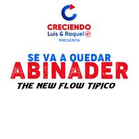 the new flow tipico - Se Va A Quedar Abinader