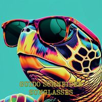 Guido Schneider - Sunglasses
