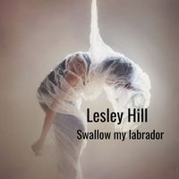 Lesley Hill - Swallow My Labrador
