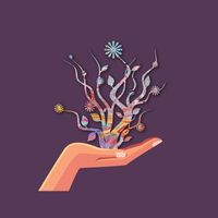 nula - Watering