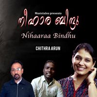 Chithra Arun - Neehara Bindhu