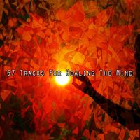 Meditation - 67 Tracks For Healing The Mind