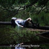 Rain Sounds - 35 Calm Evening Reverie