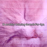 Relaxing Spa Music - 30 Anxiety Calming Sounds For Spa
