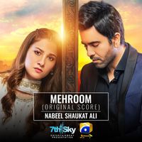 Nabeel Shaukat Ali - Mehroom (Original Score)