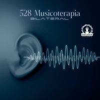 Meditação Espiritualidade Musica Academia - 528 Musicoterapia Bilateral: Tons Binaurais para Alívio do Estresse e Ansiedade, Sessão de Música Ultra Calma