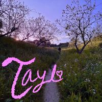 Various Artists - TAYL