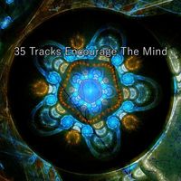 Deep Sleep Meditation - 35 Tracks Encourage The Mind