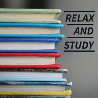 Danny The Leprechaun - Relax and Study