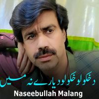 Naseebullah Malang - Da Khkulo Khkulo Da Yare