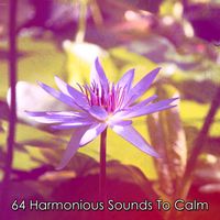 Massage Tribe - 64 Harmonious Sounds To Calm
