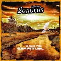 Conjunto Sonoros - A Sua Paz Espiritual