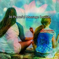 Classical Study Music - 36 Peaceful Massage Sounds