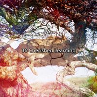 Deep Sleep Relaxation - 36 Cherished Learning
