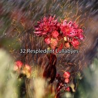 Baby Lullaby - 32 Respledent Lullabyes
