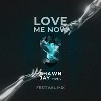 Shawn Jay - LOVE ME NOW (Festival Mix)