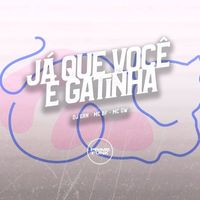 DJ GRN, Mc Gw and MC BF featuring Prime Funk - Já Que Você É Gatinha (Explicit)