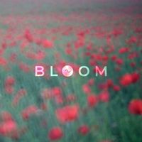 Sine - Bloom