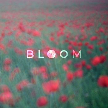 Sine - Bloom