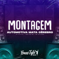 DJ PTS 017 and FreesTyle Sounds featuring MC BM and MC SILLVEER - Montagem Automotiva Mata Cérebro (Explicit)