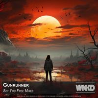Gunrunner - Set You Free Mixes