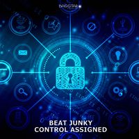 Beat Junky - Control Assigned