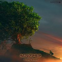 Síntese - Trully Given