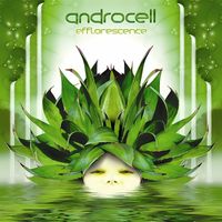 Androcell - Efflorescence