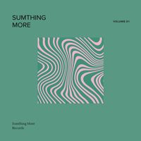 Various Artists - Sumthing More Vol.1