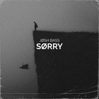 Josh Bass - Sørry