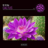 DJ Erika - Cactus