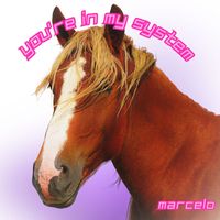 marcelo - You're in My System