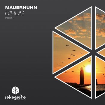 Mauerhuhn - Birds