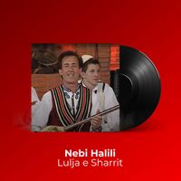 Nebi Halili - Lulja e Sharrit