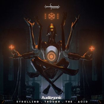 Audiosonic - Strolling Trough the Acid