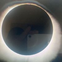 Pamela Brown - eclipse