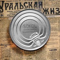 Sokol - Ты недавно (Explicit)