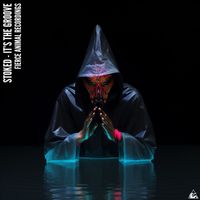 Stoked - It's the Groove