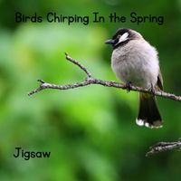 Jigsaw - Birds Chirping in the Spring
