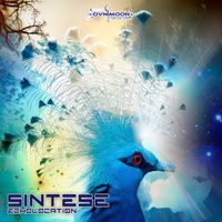 Síntese - Echolocation